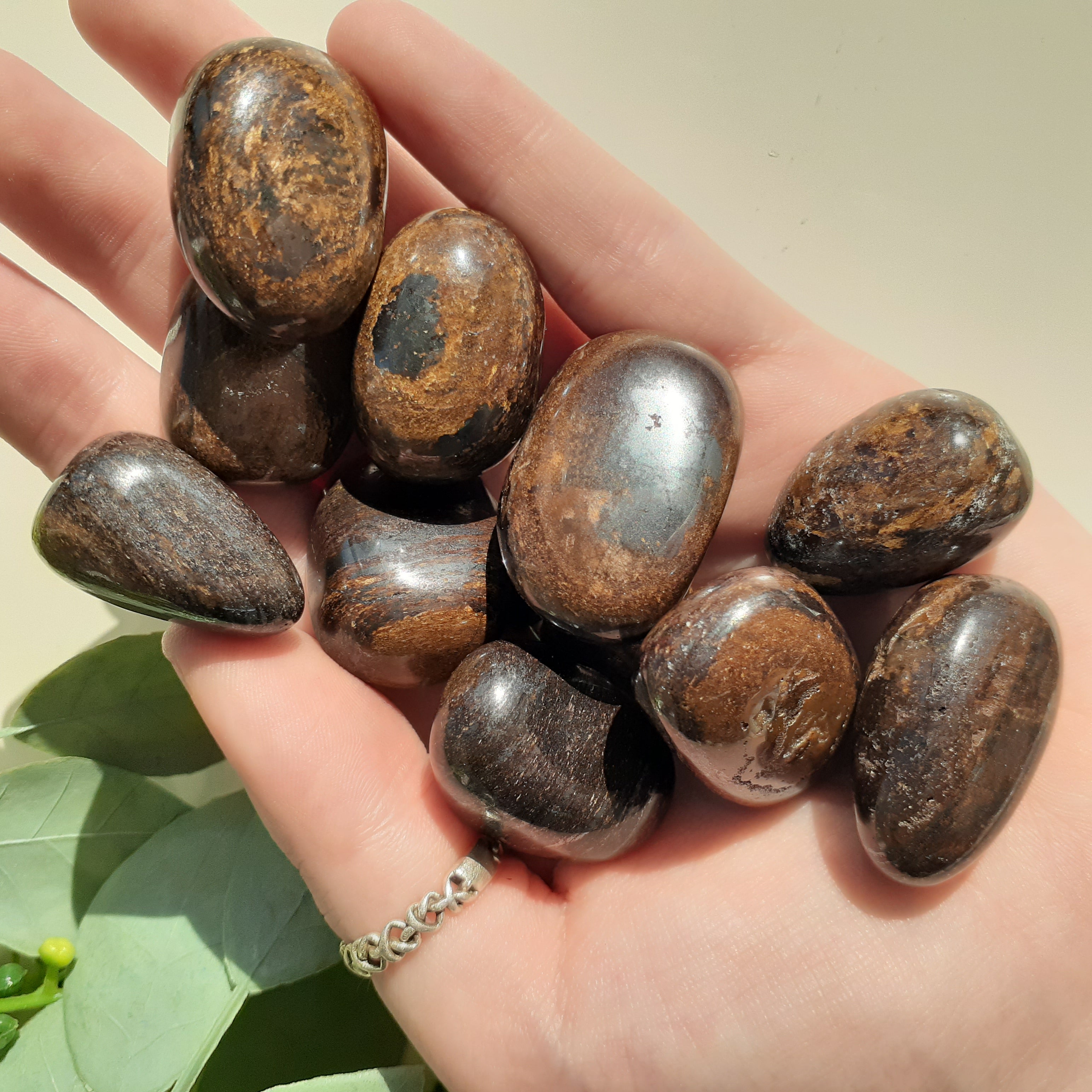 Bronzite Tumbled - 200gms Bronzite Tumbled - 200gms